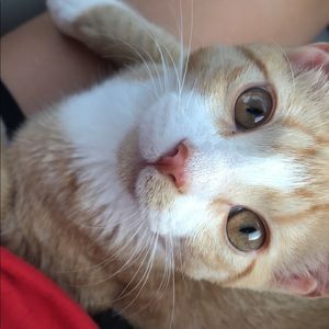 Meet your Posher, Kae